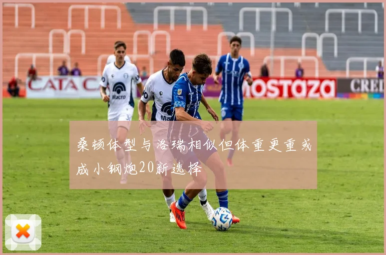 桑顿体型与洛瑞相似但体重更重或成小钢炮20新选择